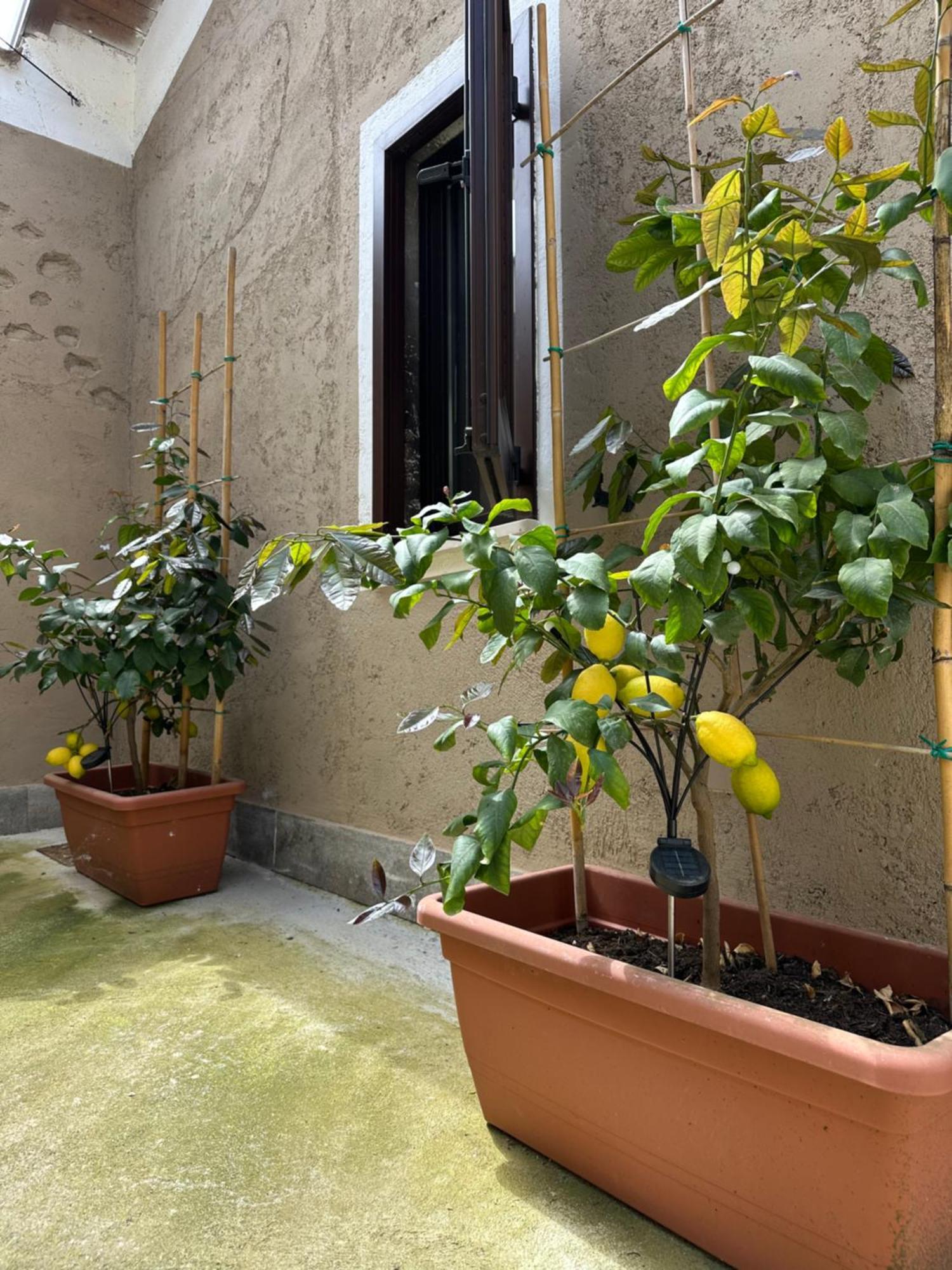 B&B La Corte بويجناجو المظهر الخارجي الصورة